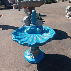 Bird Bath