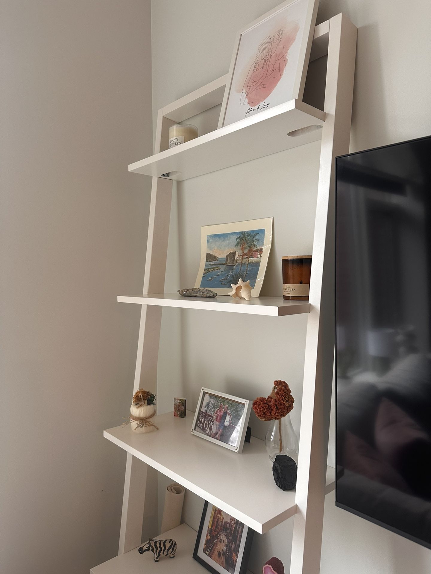 West Elm Ladder Storage