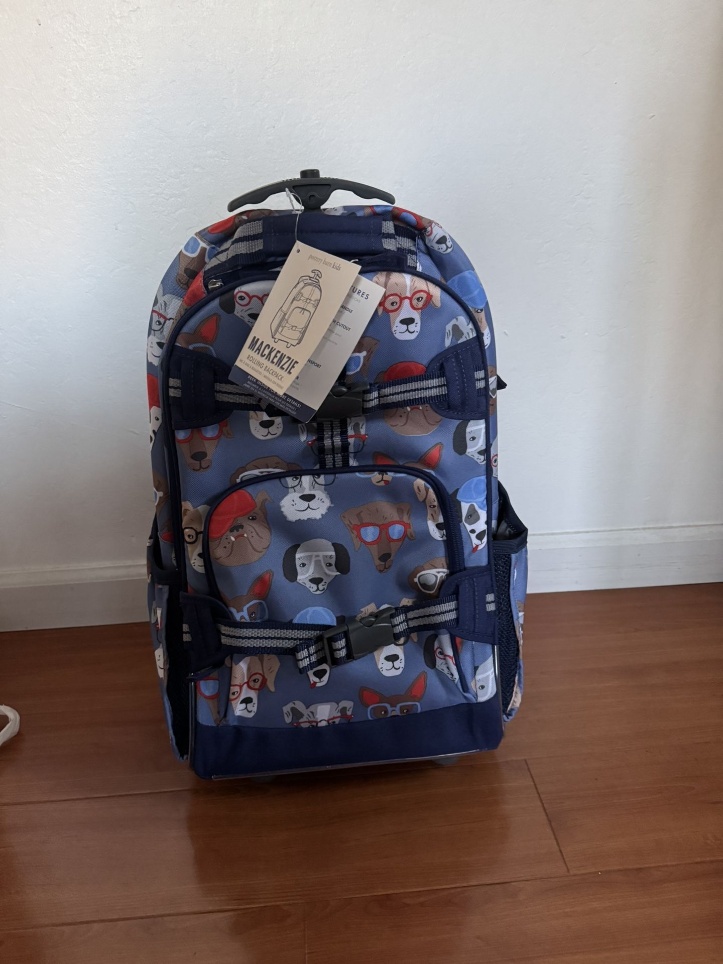 Pottery Barn Kids Rolling Backpack 