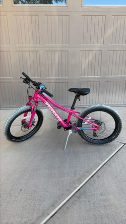 Specialized RipRock
