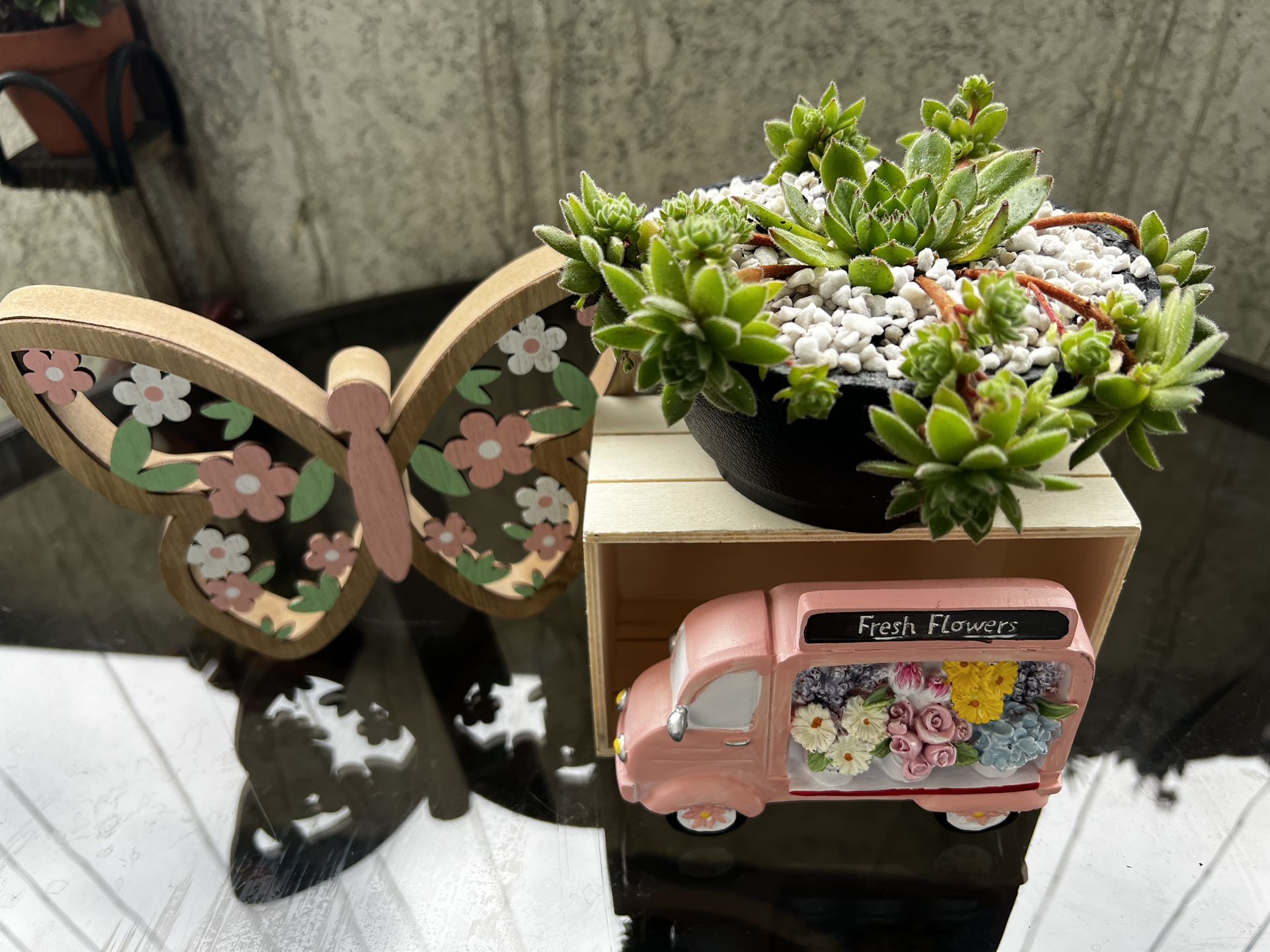 Succulent Arrangement