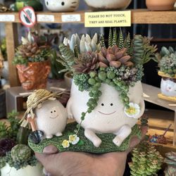 Love To Garden Succulent Arrangement 