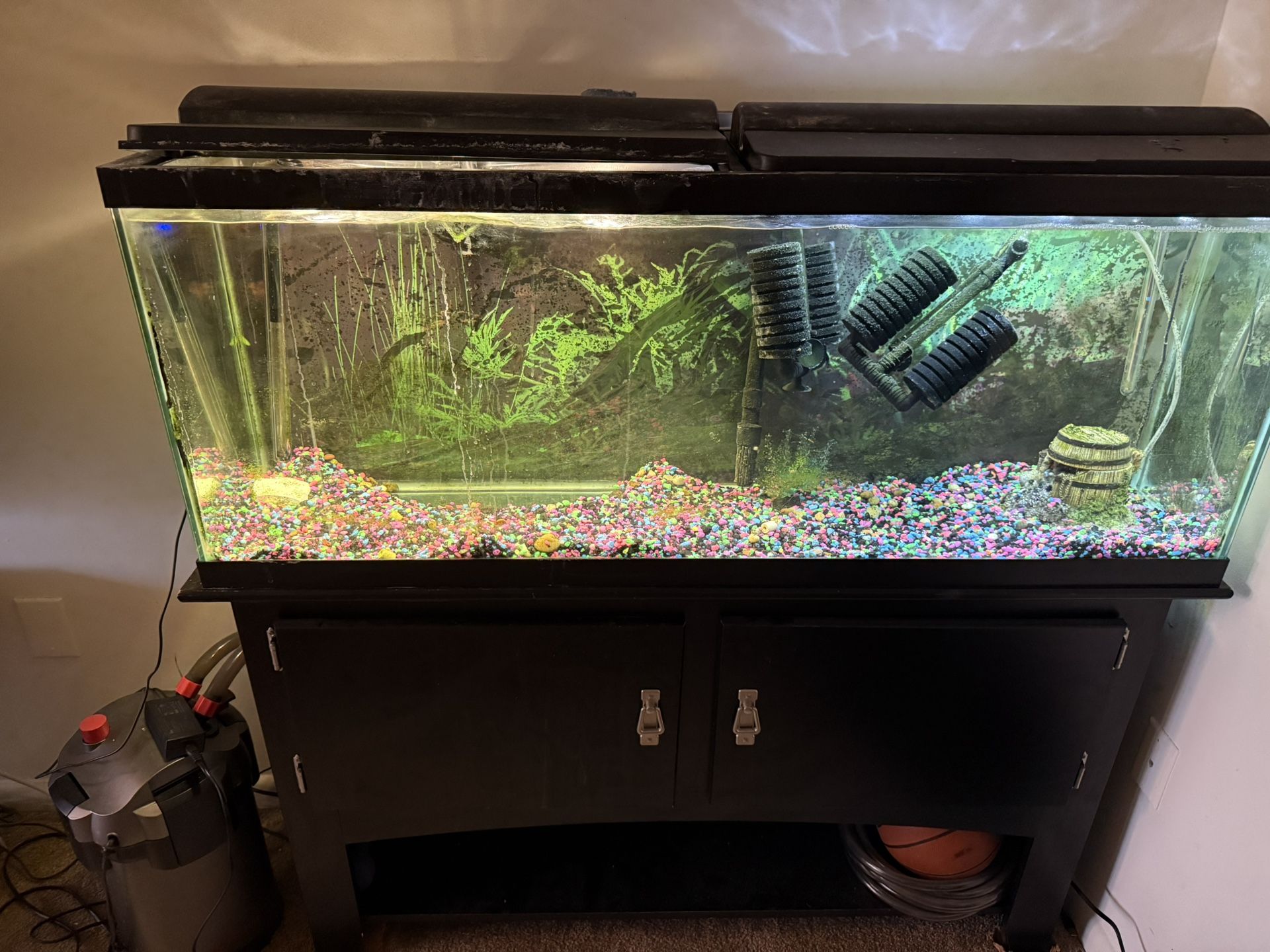 Fish Tank