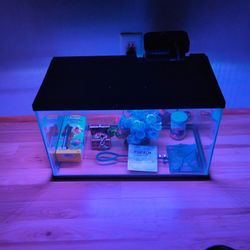 Ten Gallon Tank
