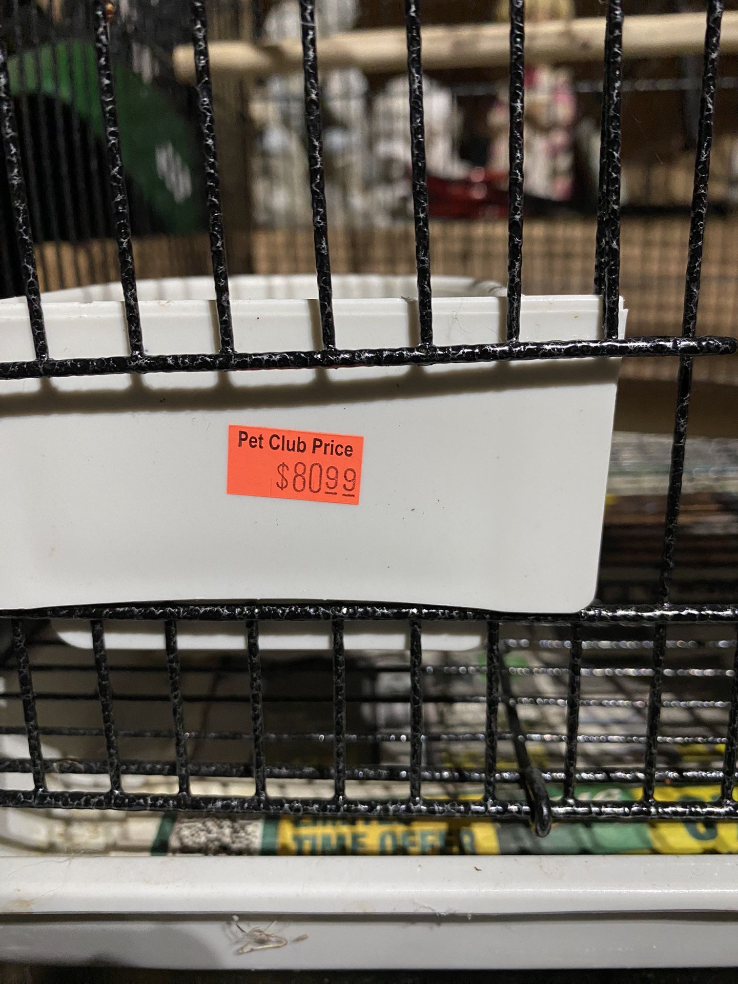Bird Cage
