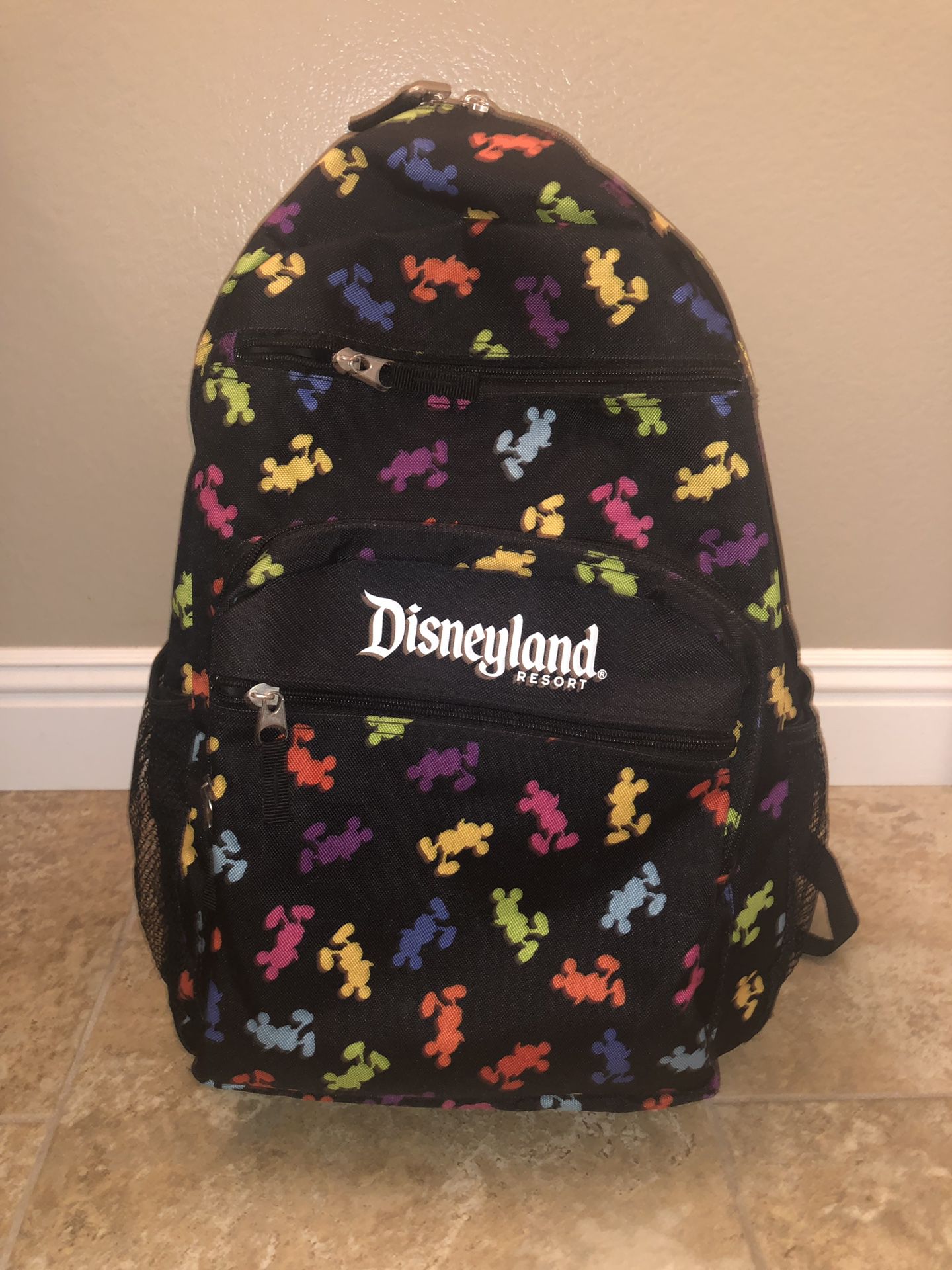 Like New Disneyland Backpack