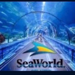 Sea World Orlando Tickets 