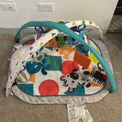 Baby Einstein Activity Gym