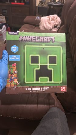 Minecraft LED NEON LIGHT