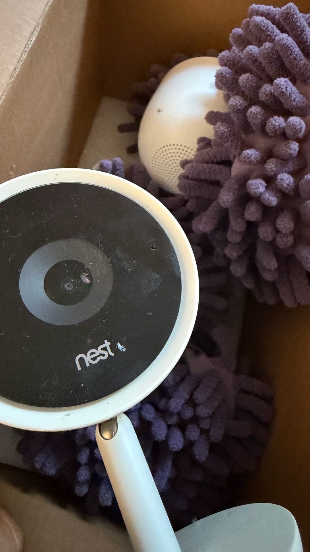 Google nest iq cameras