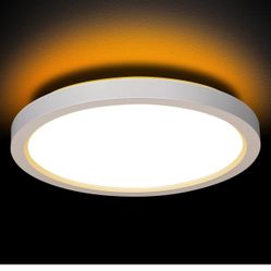 13 Inch LED Flush Mount Ceiling Light with Night Light, 24W, 2400lm, 3000K/4000K/5000K Selectable, Round Flat Panel Light, Dimmable Fixture for Dining