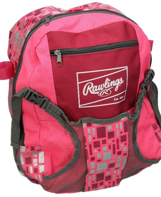 Softball Bag Used Once $15