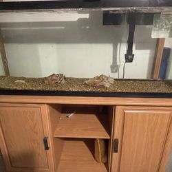 55 Gallon Fish Tank