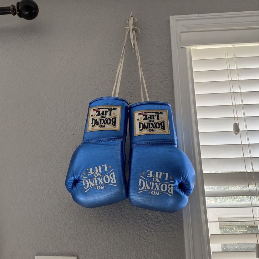 No Boxing No Life Gloves