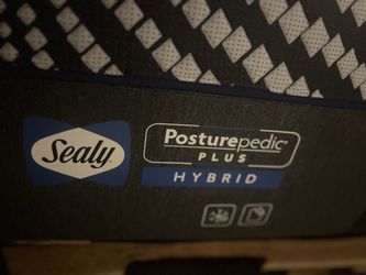 Sealy Brand