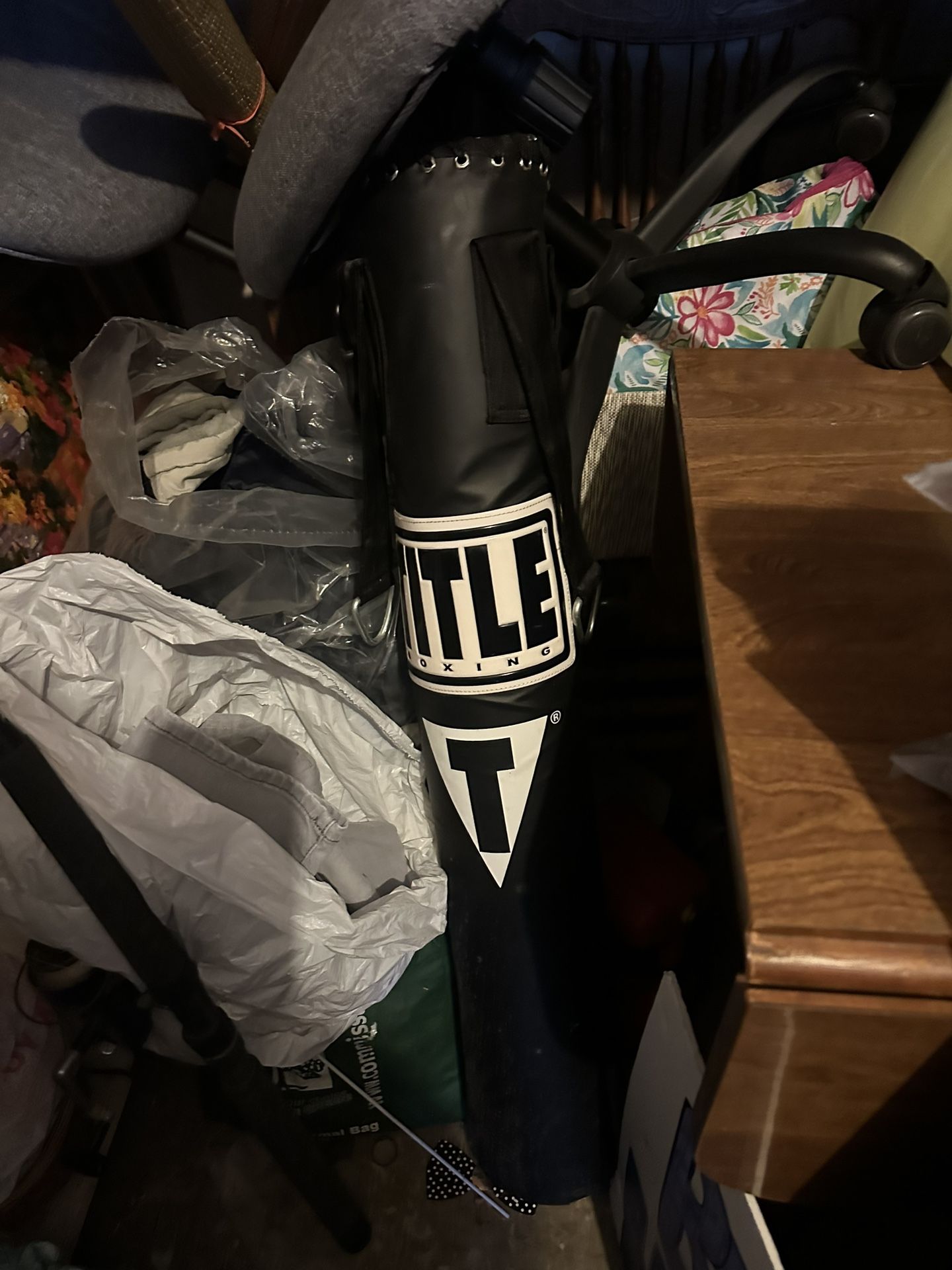 Punching Bag And Gloves