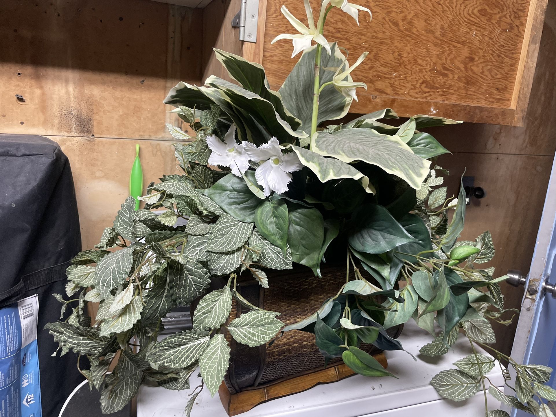 Faux Plants