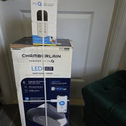 Garage Door Opener And Smart Garage Keypad