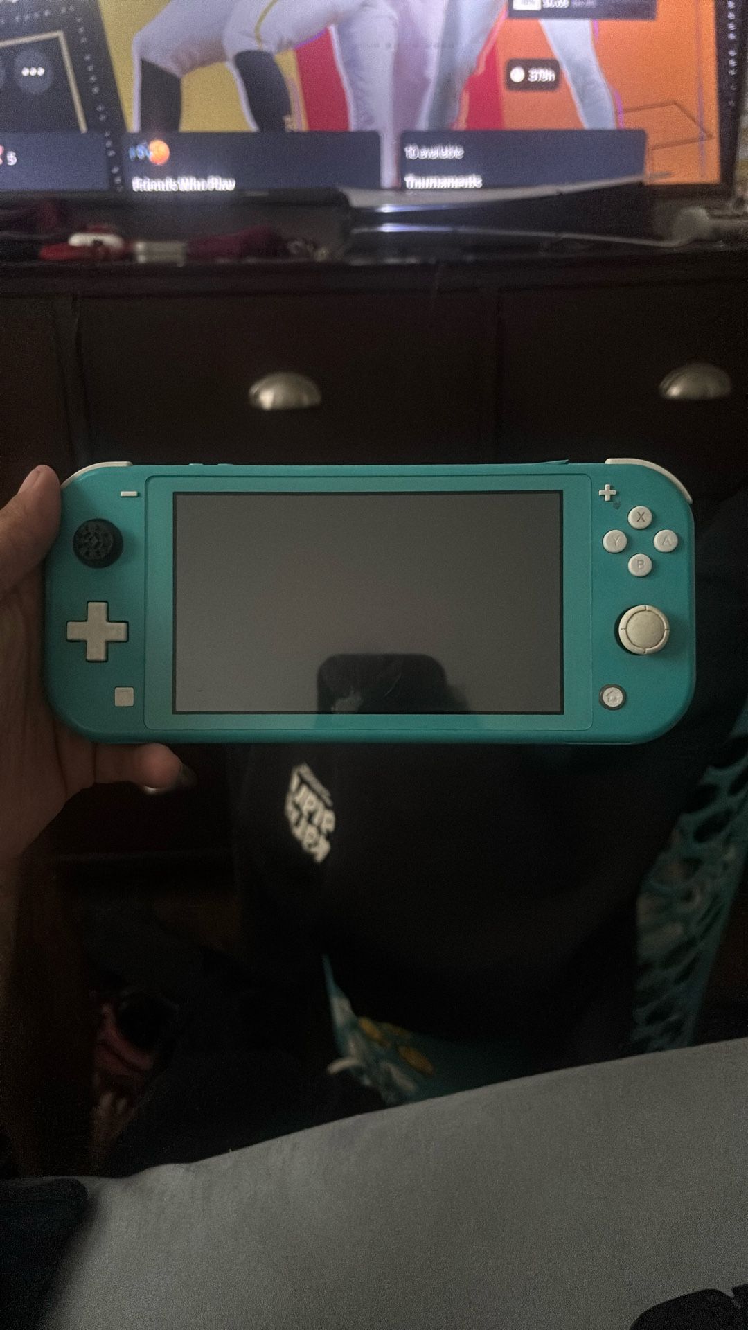 Switch Lite