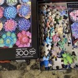 Cactus Puzzle 300 pc