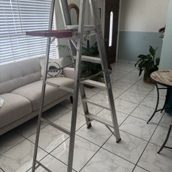 Werner Ladder 6 Feet Ladder