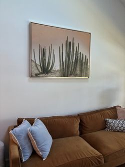 Large Framed Cactus Desert Wall Art