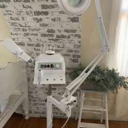 Esthetician Facial 3 In 1 Steamer