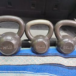 KETTLEBELLS  :  PAIR OF 25s = $80   &   SINGLE  35 = $50
