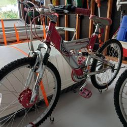 24" 21 Speed Bike