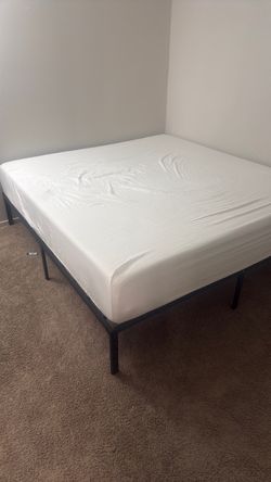Used guest bed with frame