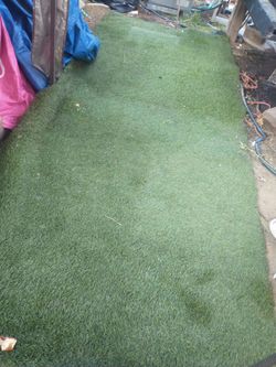 Turf ..grass