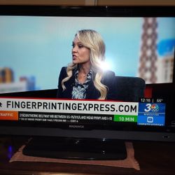 42" Magnavox TV with New Remote - Moving, Make An Offer!