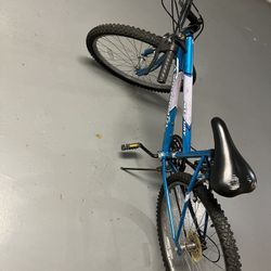 Mt.Fury Roadmaster Bike