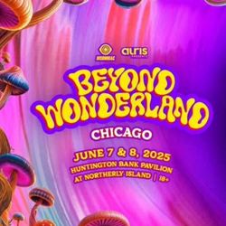 VIP Beyond Wonderland 