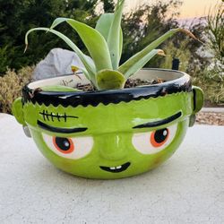 💚 🖤 💚  Halloween Frankenstein Planter 👻 👻 👻 w Agave Plant 🪴 