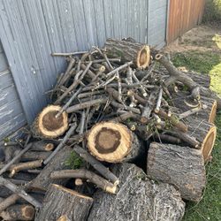 Free Wood