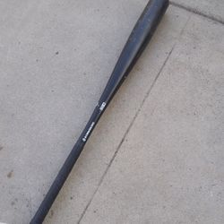Stringking Baseball Bat