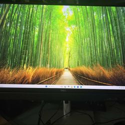 Dell OptiPlex 7410 23.8" Full HD All-in-One Computer