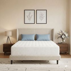 New King Matress
