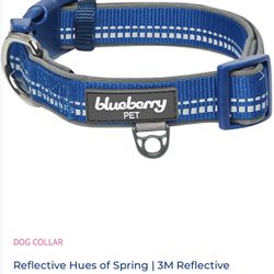 Reflective Hues of Spring | 3M Reflective Neoprene Padded Dog Collar