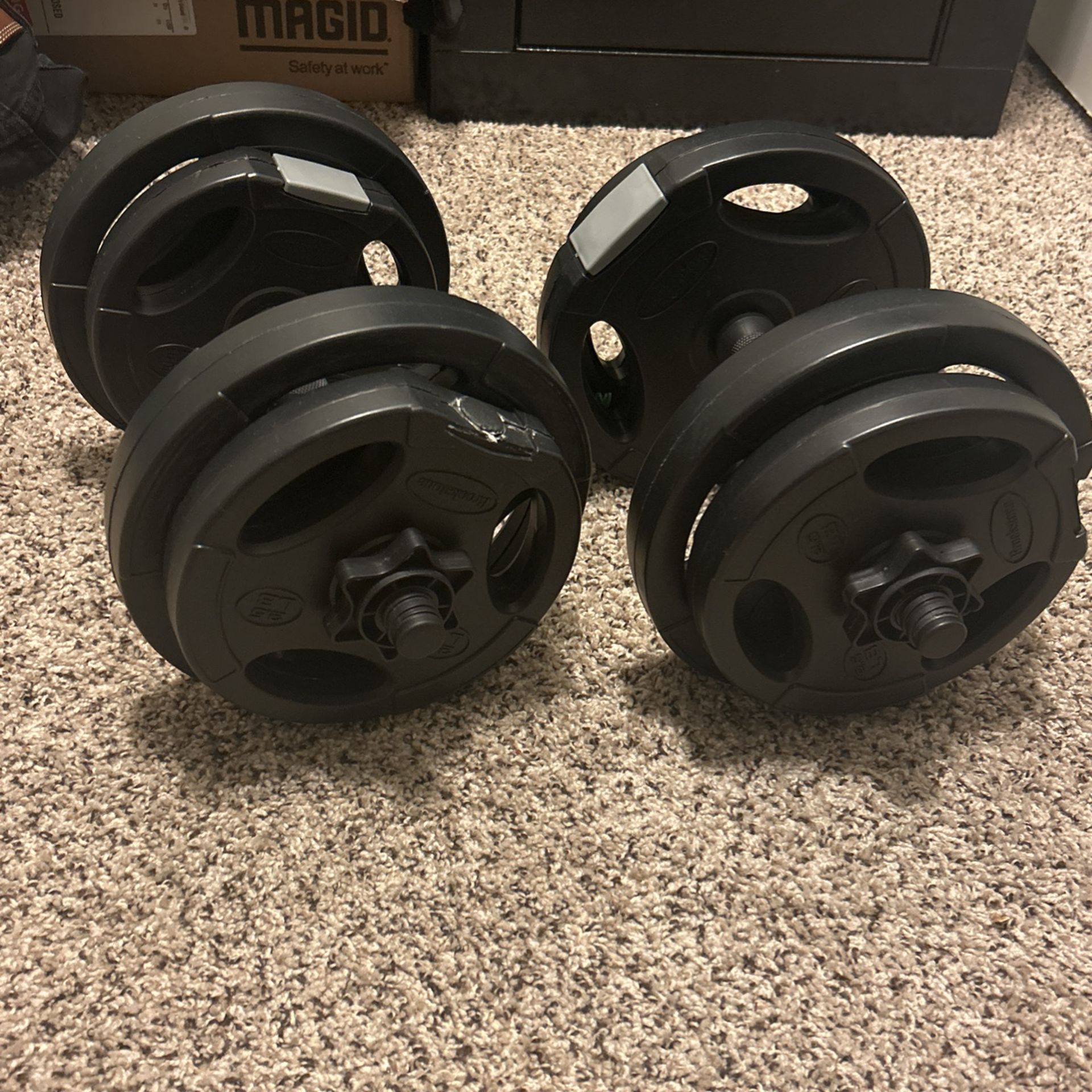 Dumbbell Light Set 30 Lbs In Total