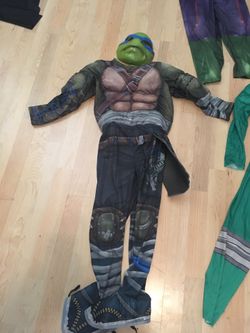 Teenage mutant ninja costume