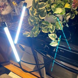 Grow Light For Plants 