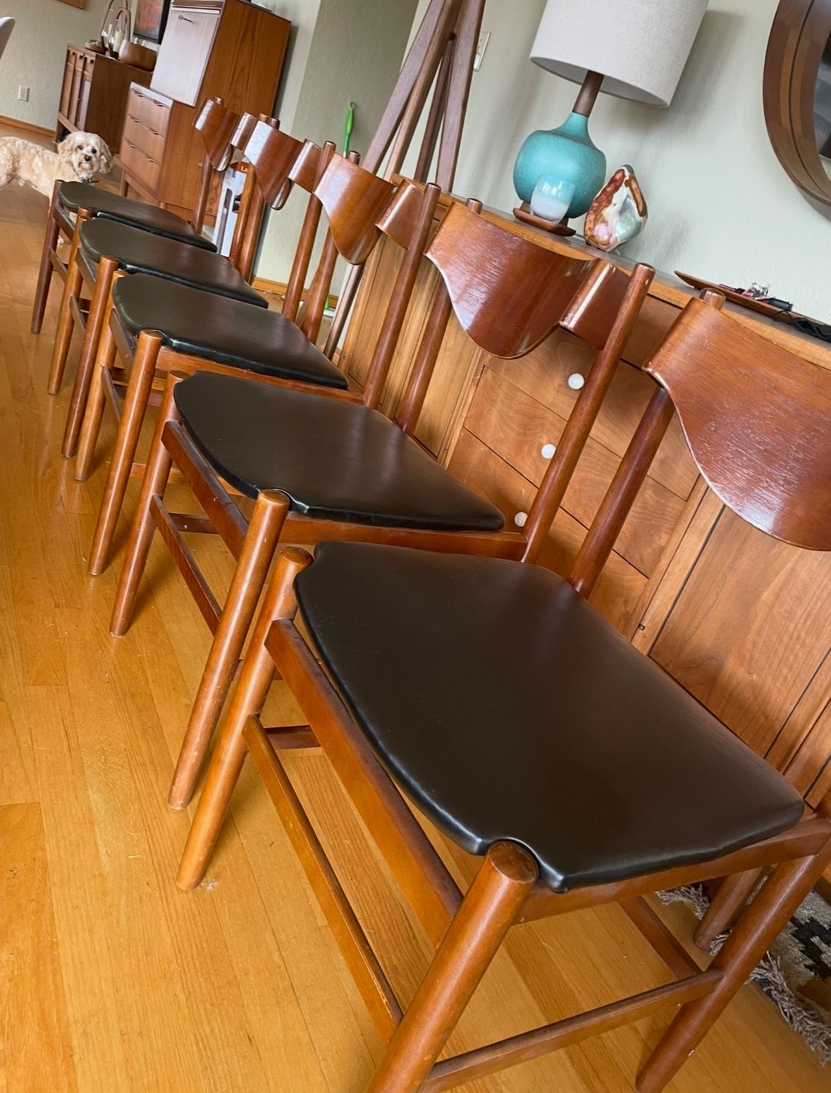Mid century Bif Dining Chairs 5