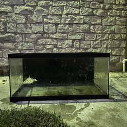 60 Glass Aquarium/ Reptile Cage