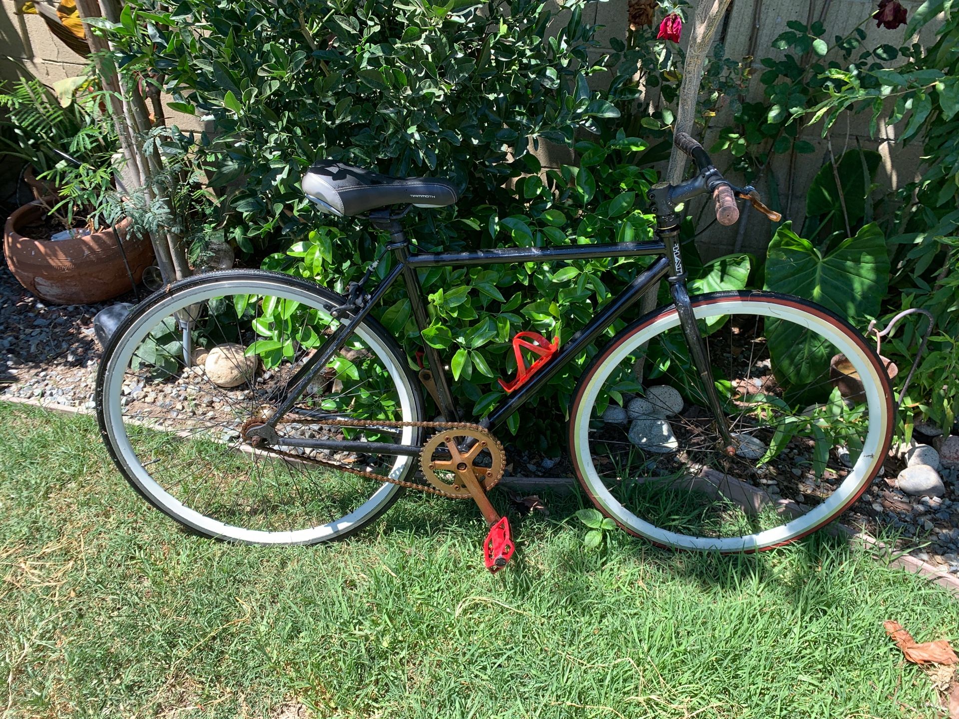 Phat Cycles Phixie Sports & Outdoors