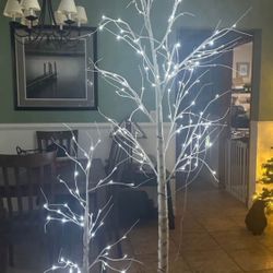 2 Lighted Trees.       