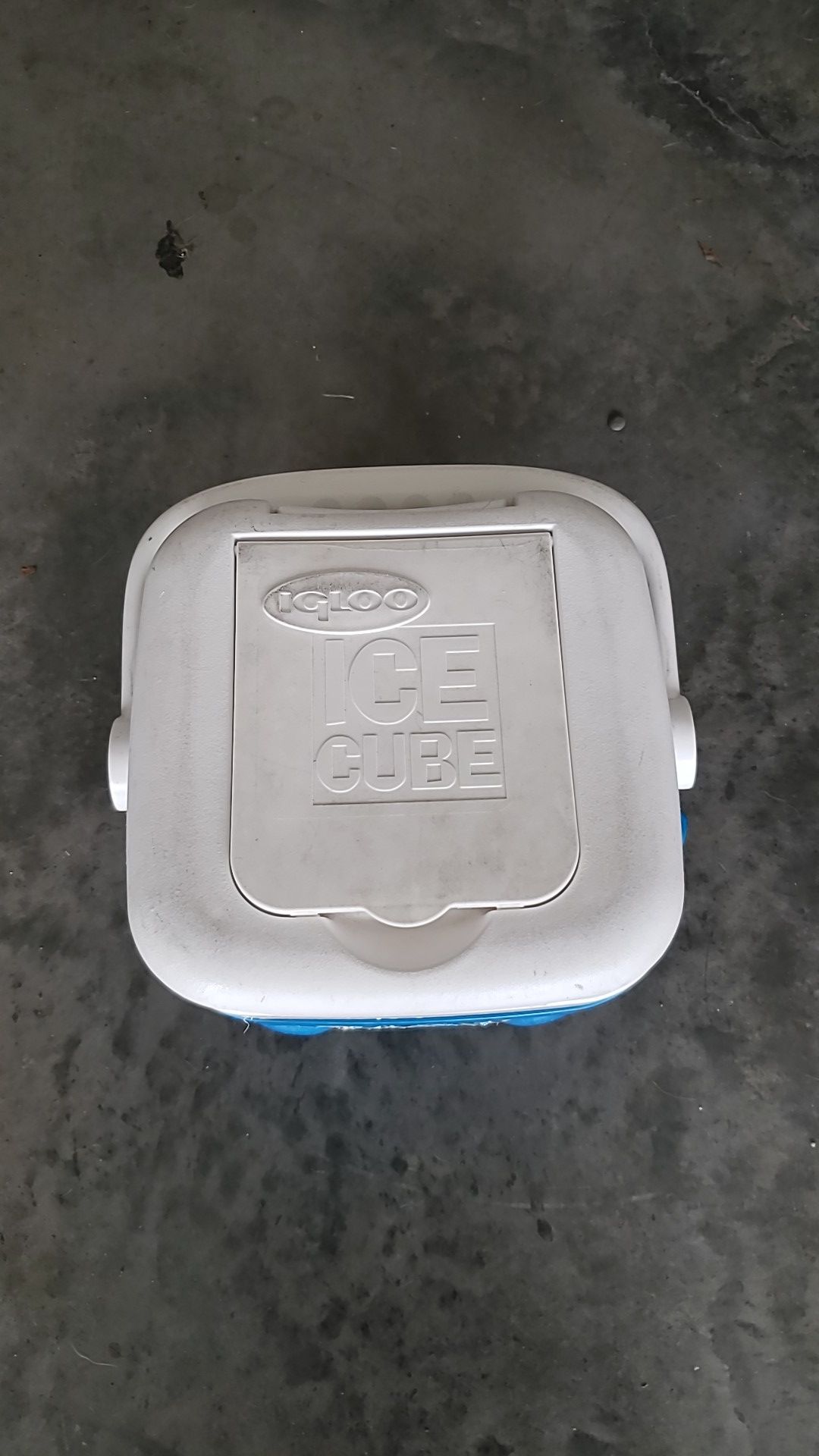 Igloo 12qt cooler