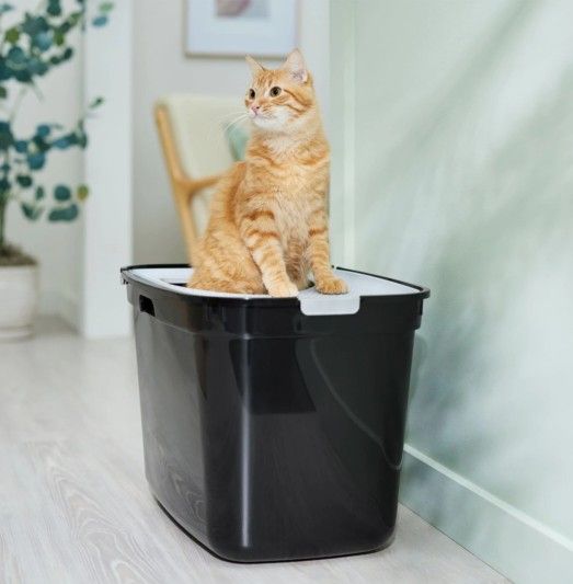 READ DESCRIPTION- CAT SUPPLIES 