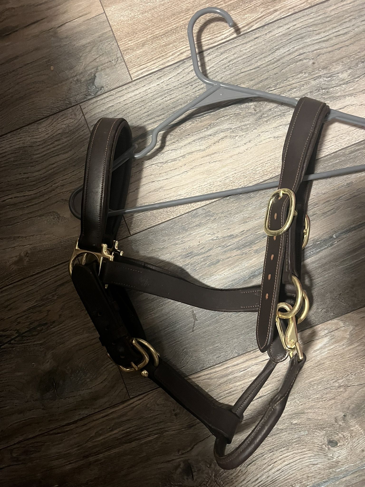 Horse Halters!
